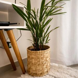 Cesto de Taboa Trançado Artesanal 25x23cm – Cachepot para Plantas, Organização e Decoração Rustica