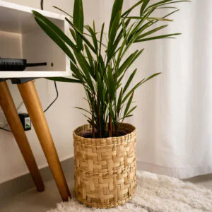 Cesto de Taboa Trançado Artesanal 25x23cm – Cachepot para Plantas, Organização e Decoração Rustica